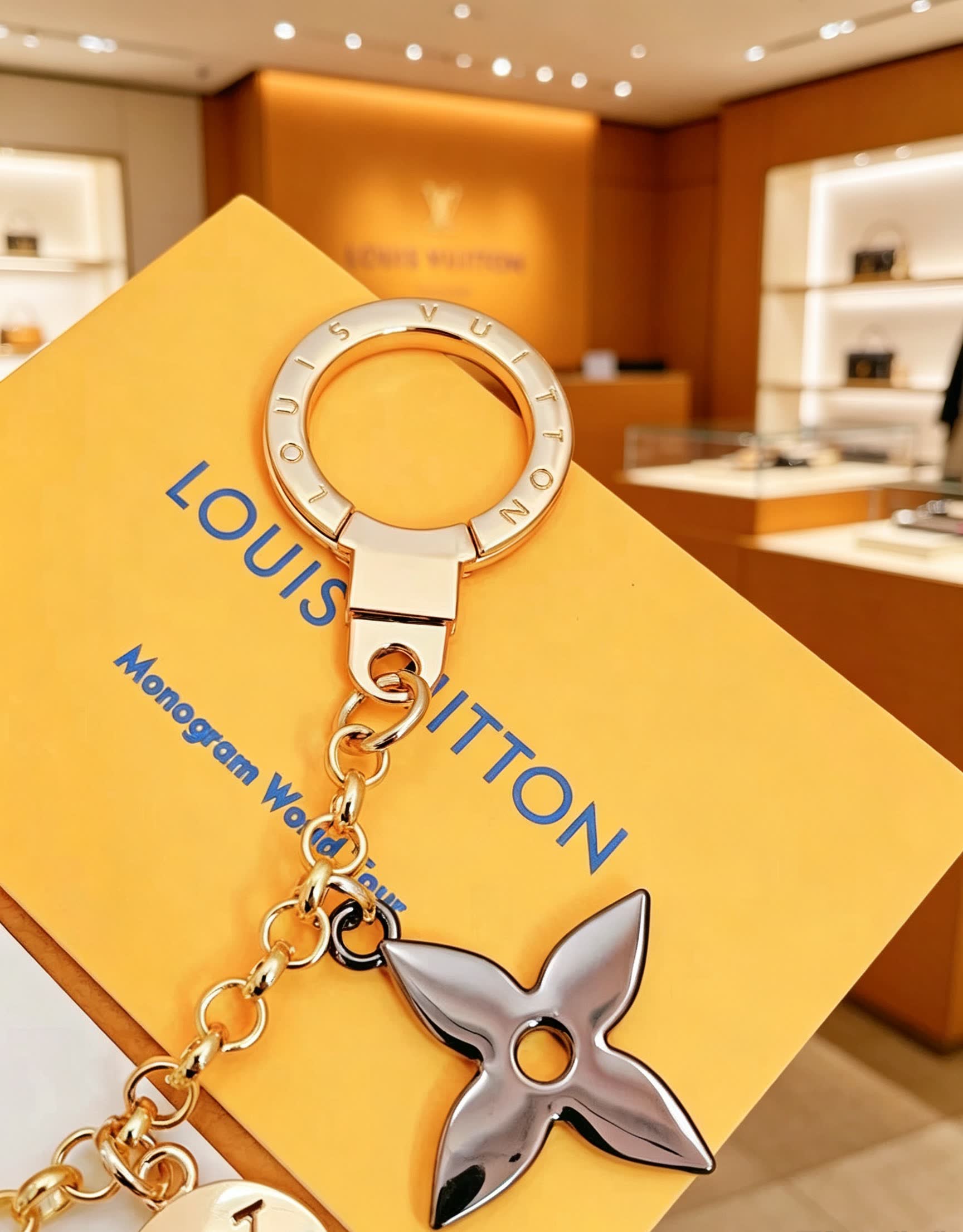 Louis Vuitton Keychain with Lock and Logo Charms